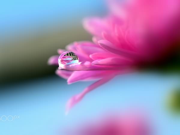 佛山市科桌科技有限公司网站全新改版?。? title=